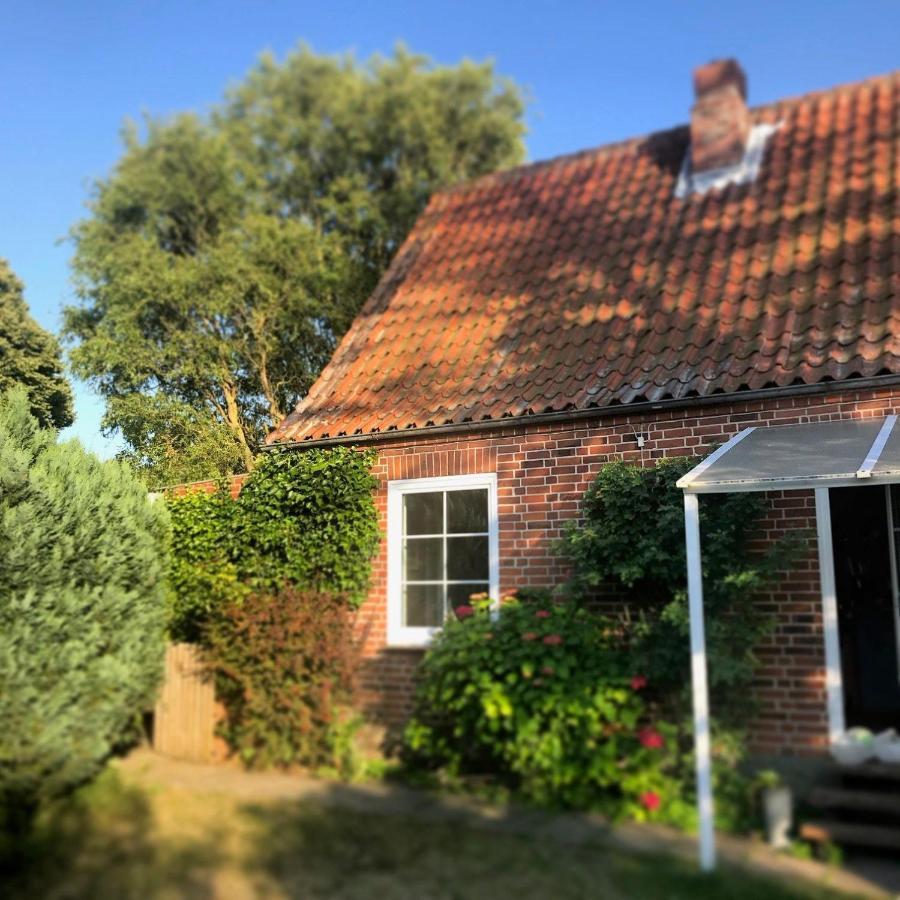 Schönes Ferienhaus mit Garten&Mid Century Möbeln in Strand nähe Avendorf Avendorf auf Fehmarn Exterior foto